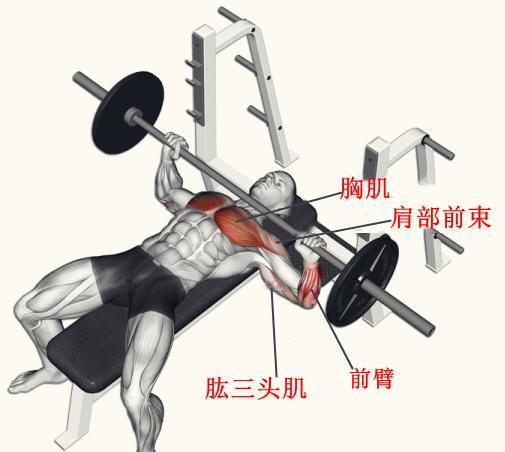 JN江南体育官方网站